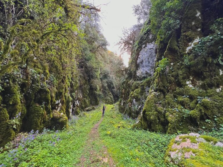 Rivertrekking Φαράγγι Γρανιτσιώτη & Φαράγγι Μπουζονίκου